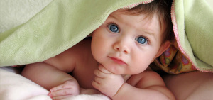 bambino