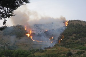 Kadera