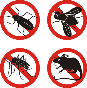 26-7-Disinfestazione