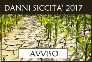siccita_1
